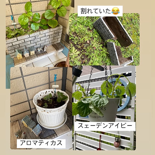 YuuKoさんの実例写真