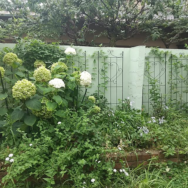 Rさんの部屋