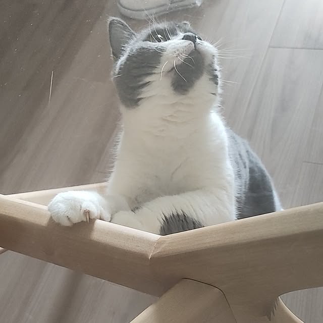 KEIKOさんの実例写真