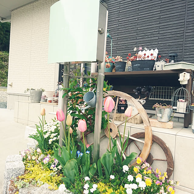 yumikanaさんの実例写真