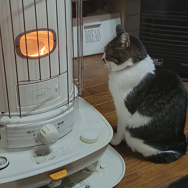 yukiさんの実例写真