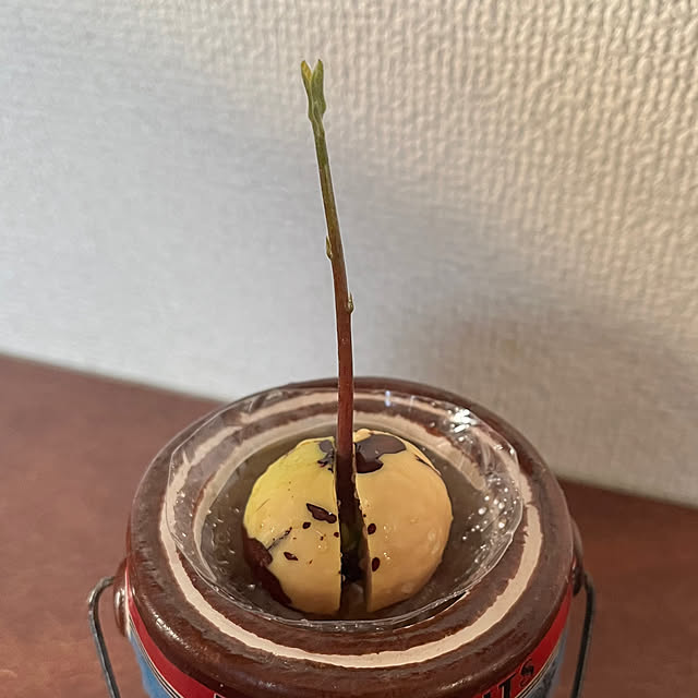 GowBooさんの実例写真