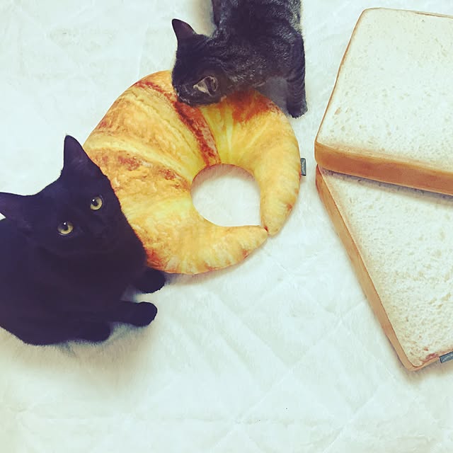 kanaさんの実例写真