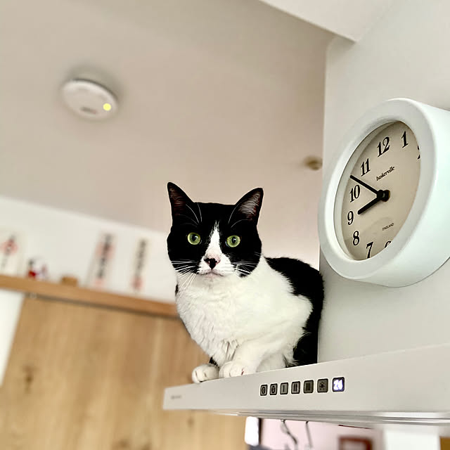 pooさんの実例写真