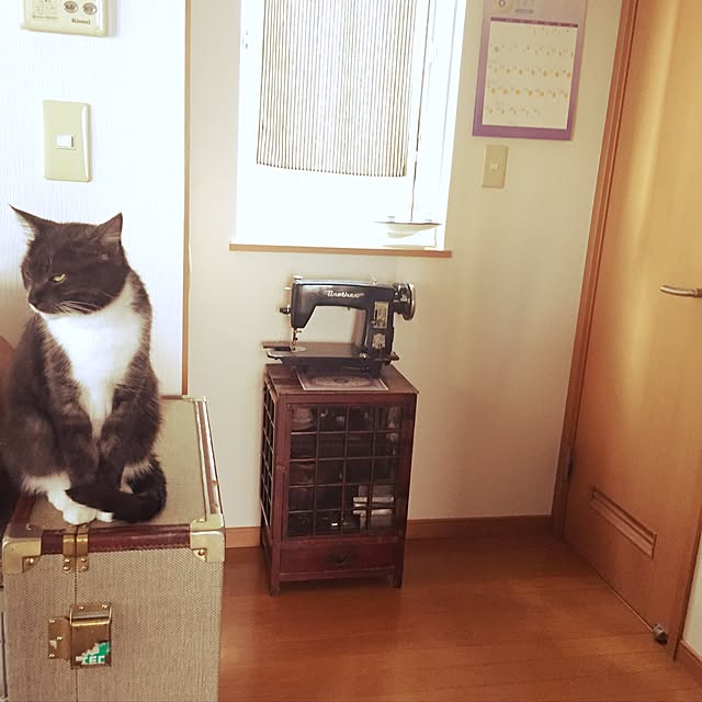 afroさんの実例写真