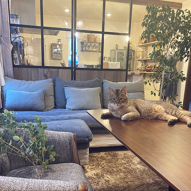 jill_lowさんの実例写真