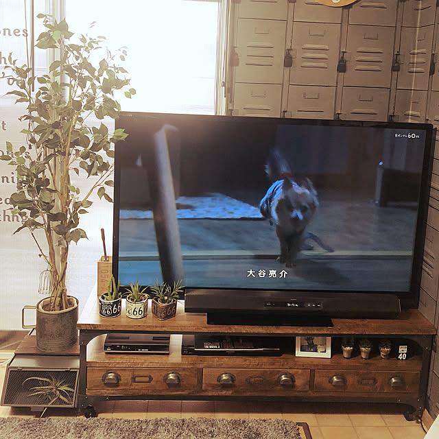 Ayaさんの実例写真