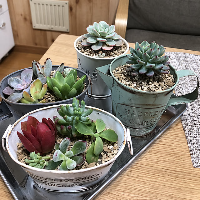 CoffeeHouseさんの実例写真