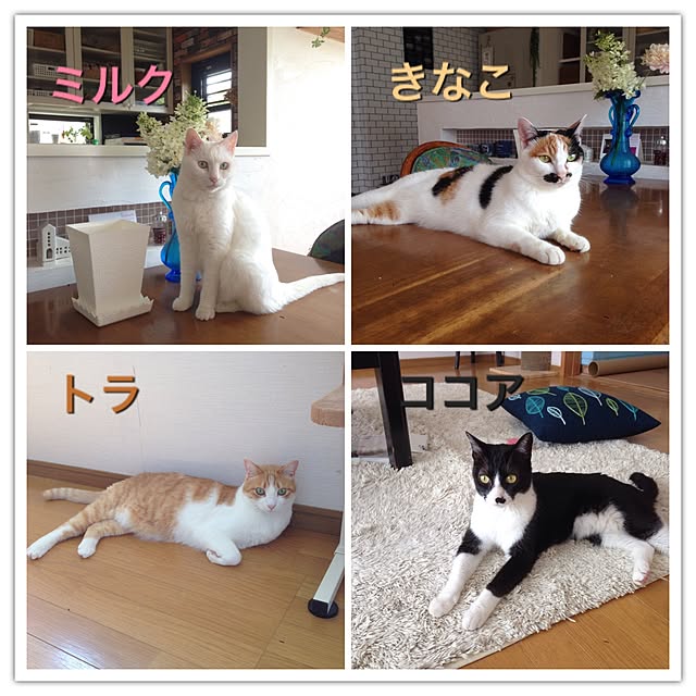 Kinanさんの実例写真