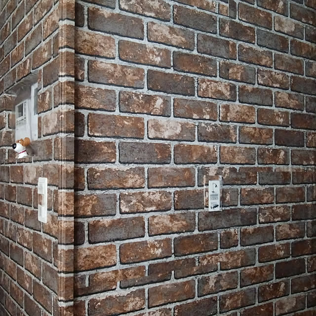 ctonaさんの実例写真