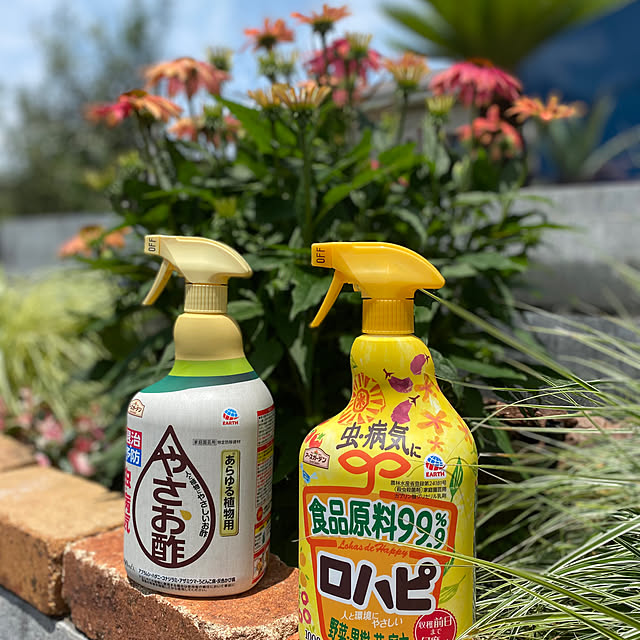 HelloKitchenさんの実例写真
