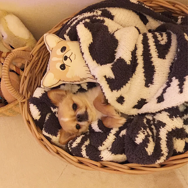 haruhinaさんの実例写真