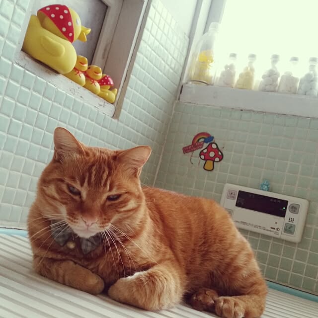 Anmituさんの実例写真