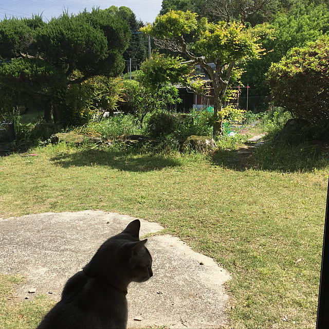 sumiccoさんの実例写真
