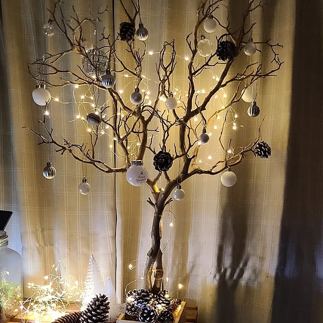 opiopiopiさんの実例写真