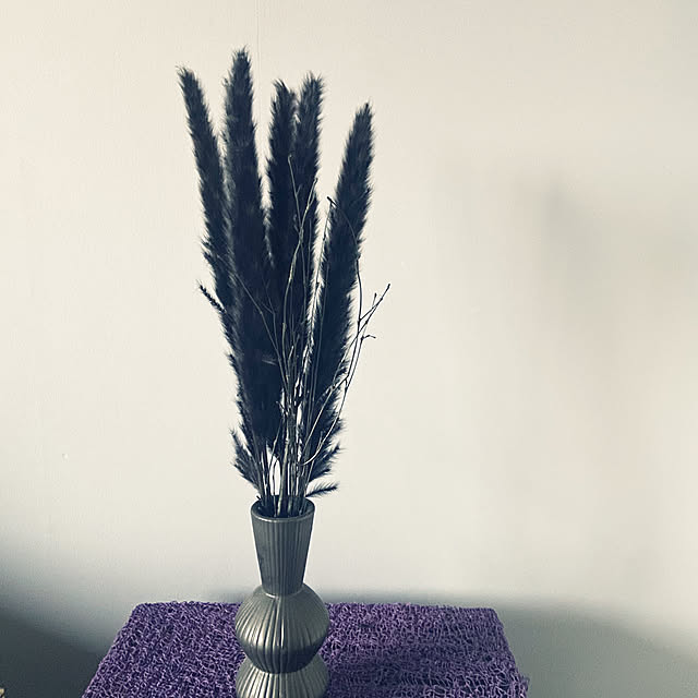 mikoさんの実例写真