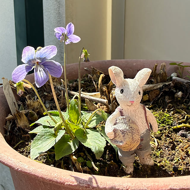 Aqettyさんの部屋