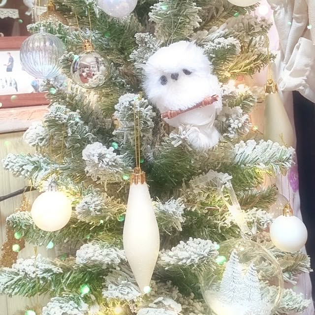 harumoeさんの実例写真