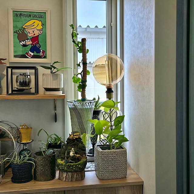 nonbiri_house_さんの部屋