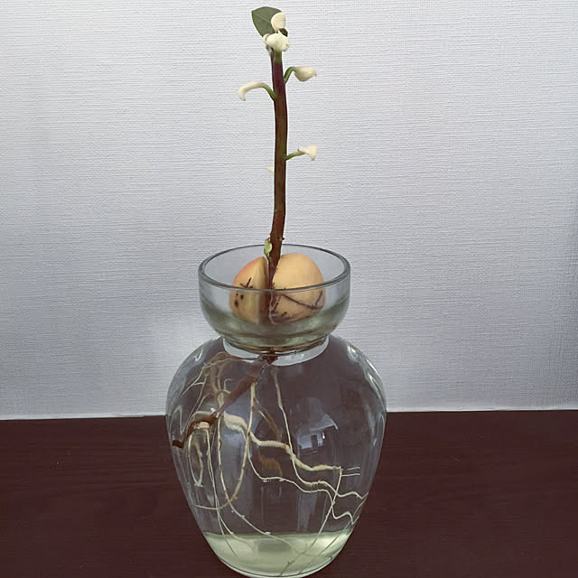 HKSさんの実例写真