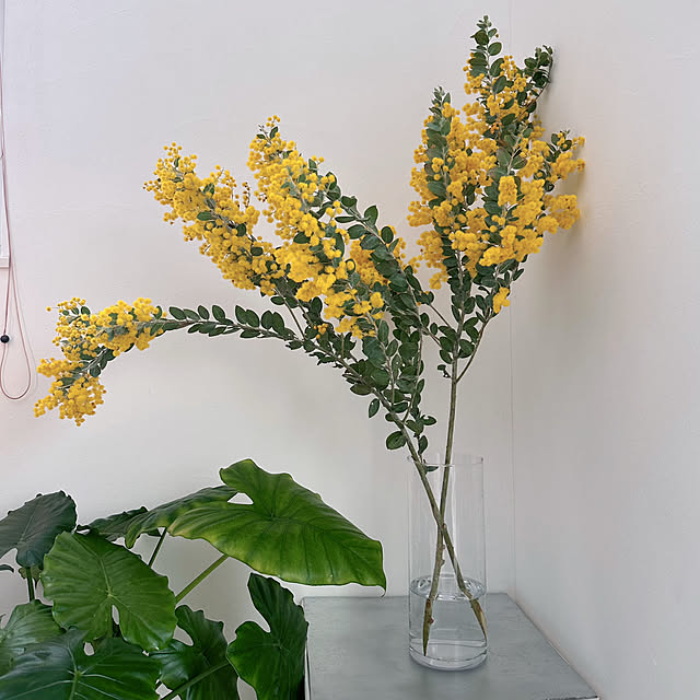 hanahana1444さんの部屋