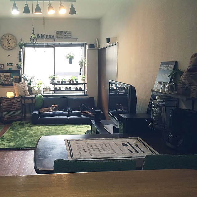 maimaiさんの実例写真