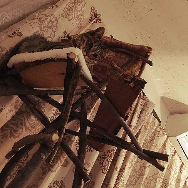 Mさんの実例写真