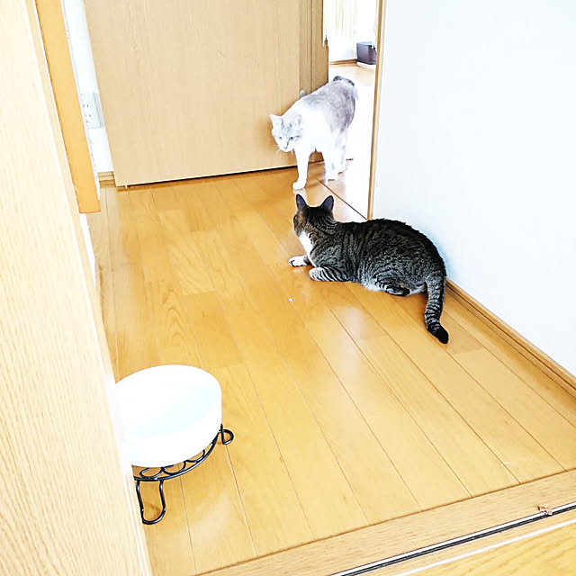 nachiさんの実例写真