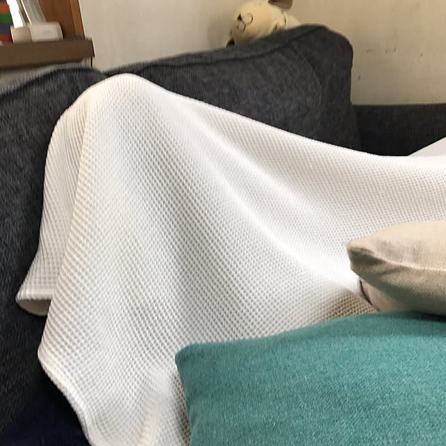 enchiさんの実例写真