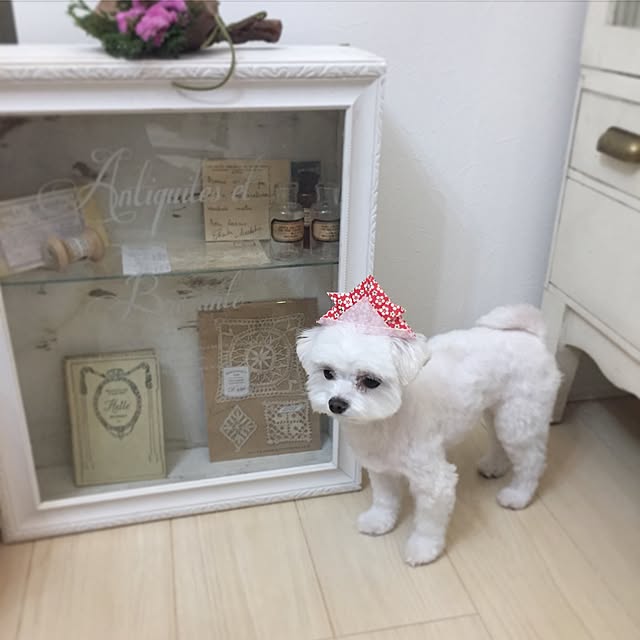 Ayumiさんの実例写真