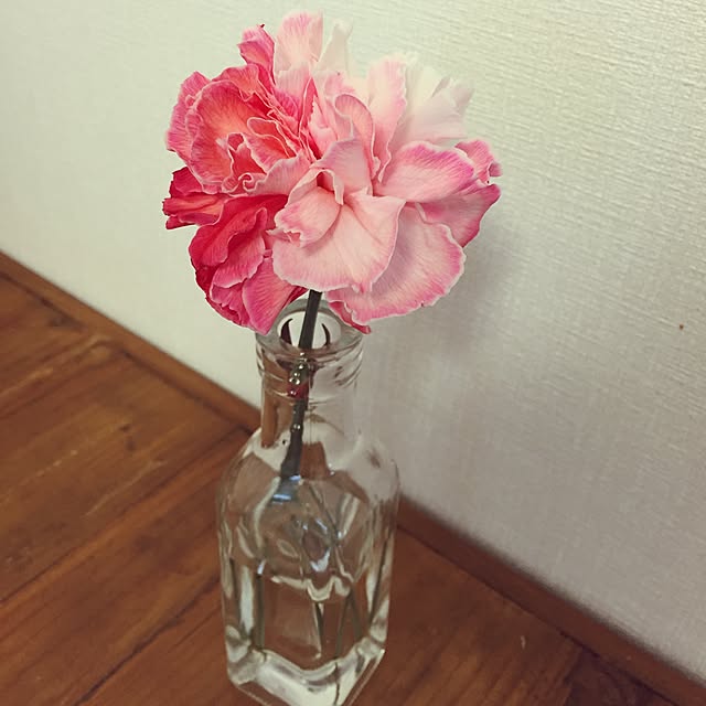 kiyopi-coさんの実例写真