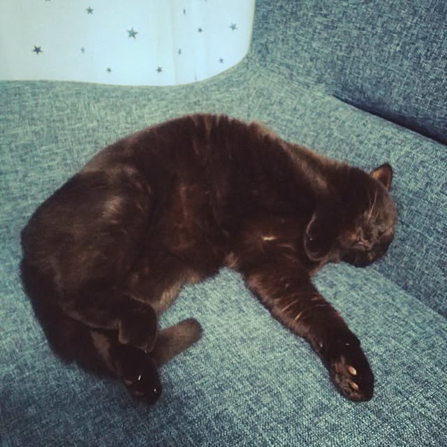 takahiroさんの実例写真
