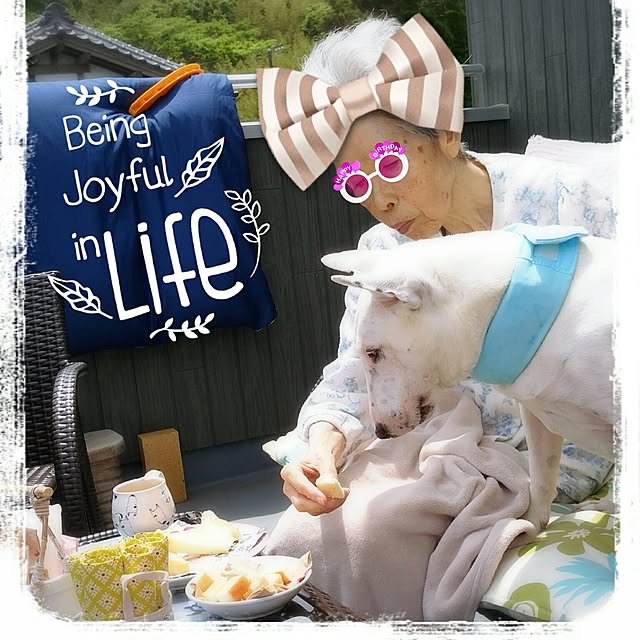 kimuneisanさんの実例写真
