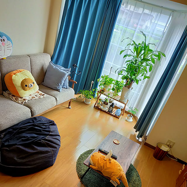 実例写真