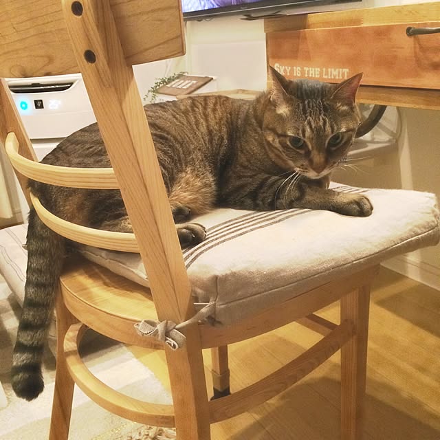 lovecatさんの実例写真