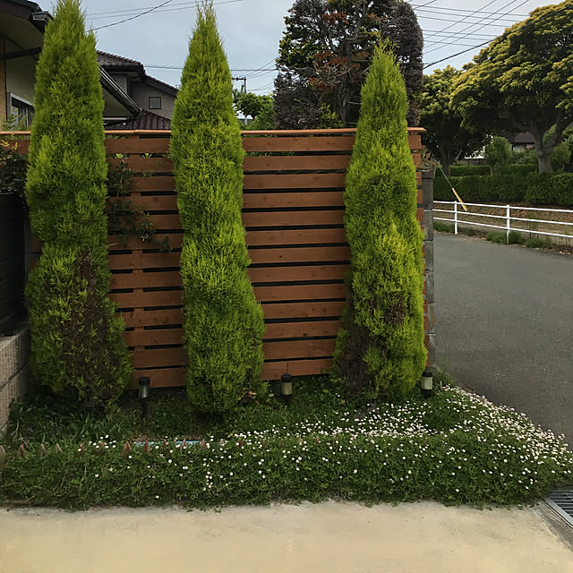 goro_wanさんの実例写真