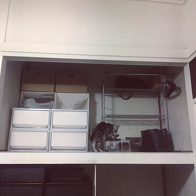 KINGさんの実例写真