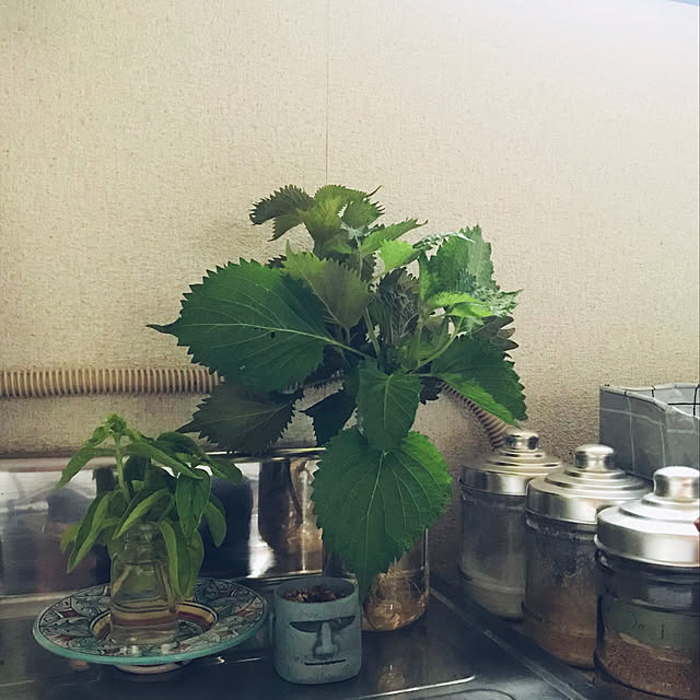 apiさんの実例写真