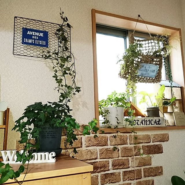 mayumiさんの実例写真