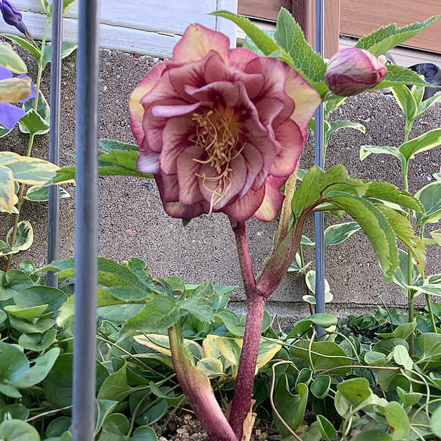 haruminさんの部屋