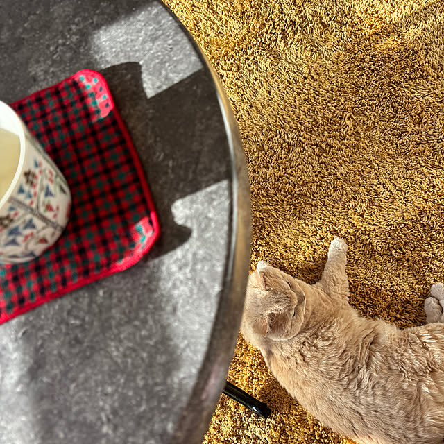 naokoさんの実例写真