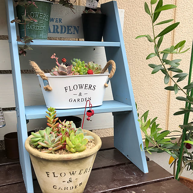 ckさんの実例写真