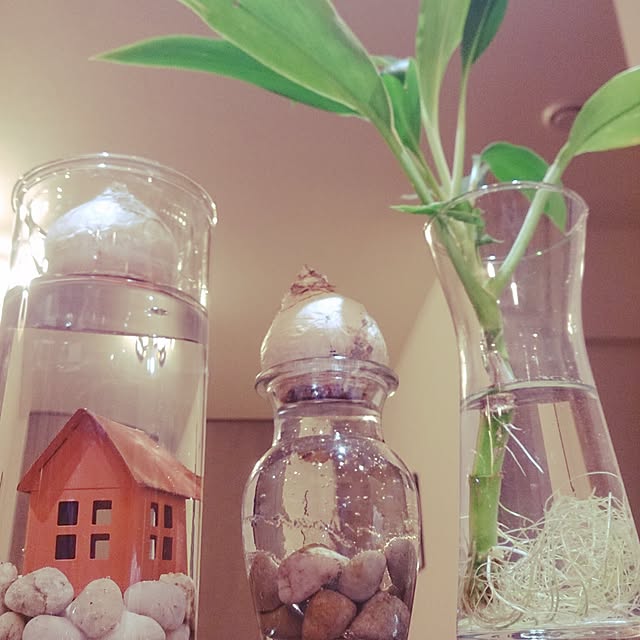 shimayaさんの実例写真