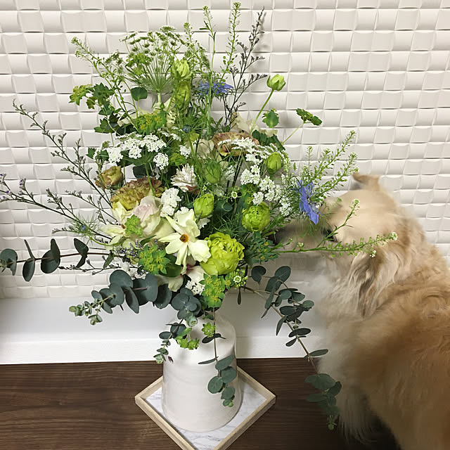 miro_n_chiさんの実例写真
