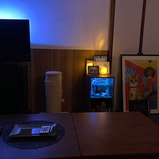 garatoraさんの実例写真