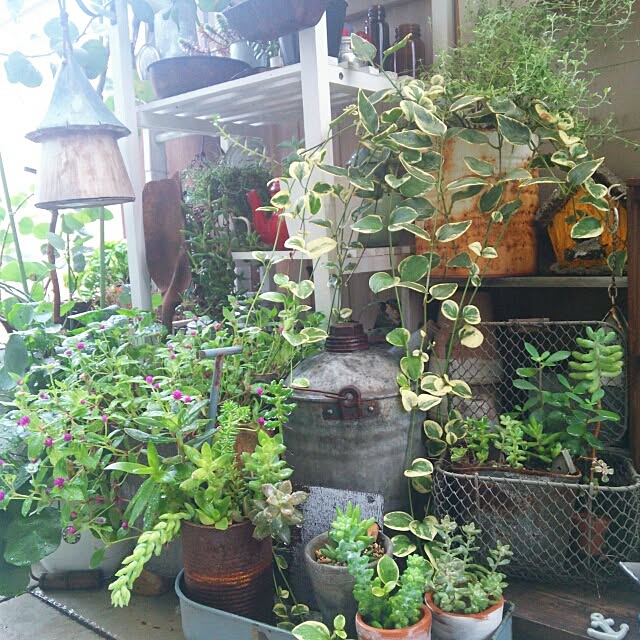 kokkomachaさんの実例写真