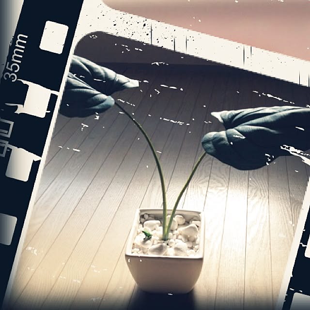 aiさんの実例写真