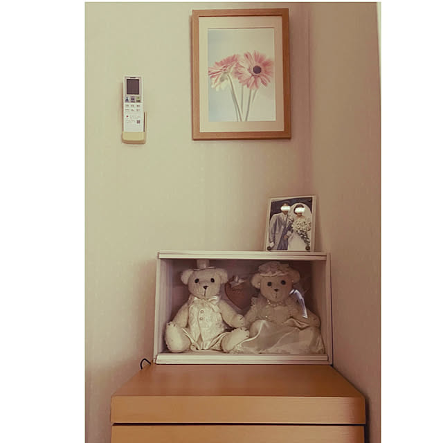appleさんの実例写真
