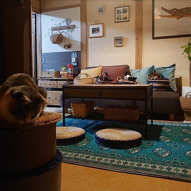 fukuさんの実例写真