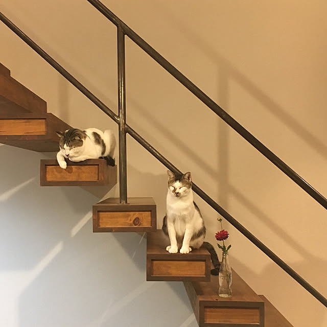 Yukaさんの実例写真